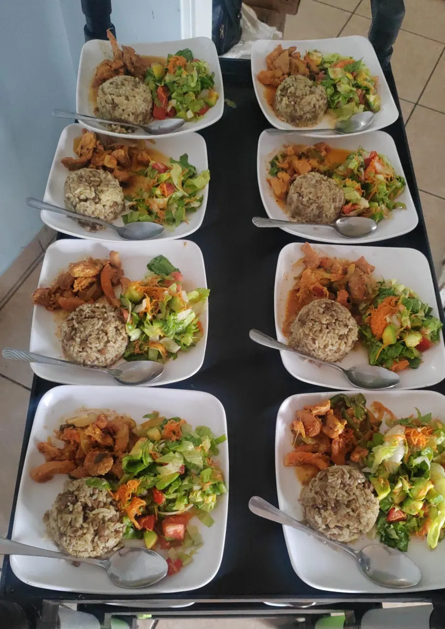 Platos de almuerzo servidos: pollo, arroz y ensalada fresca.